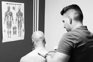 Davisville Active Therapy - Acupuncture - acupuncture in Toronto, ON - image 1