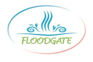 Floodgate Coaching, Counselling and Consulting - mentalHealth in Guelph, ON - image 2