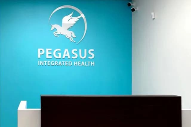 Pegasus Integrated Health - Acupuncture