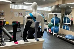 Main Street Health - Physiotherapy - physiotherapy in Hamilton, ON - image 2