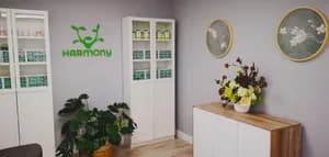 Harmony Acupuncture Clinic - acupuncture in Kirkland, QC - image 2