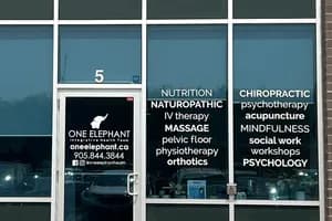 One Elephant Integrative Health Team - Physiotherapy - physiotherapy in Oakville, ON - image 1