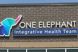 One Elephant Integrative Health Team - Physiotherapy - physiotherapy in Oakville, ON - image 2