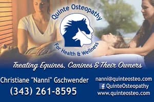 Quinte Osteopathy For Health & Wellness - Winnipeg - osteopathy in Winnipeg, MB - image 1