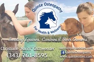 Quinte Osteopathy For Health & Wellness - Winnipeg - osteopathy in Winnipeg, MB - image 3