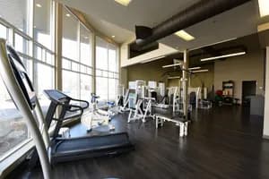 Grossi Physiotherapy - Leamington - physiotherapy in Leamington, ON - image 1