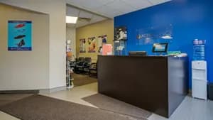 Activa Clinics- Kitchener - chiropractic in Kitchener, ON - image 3
