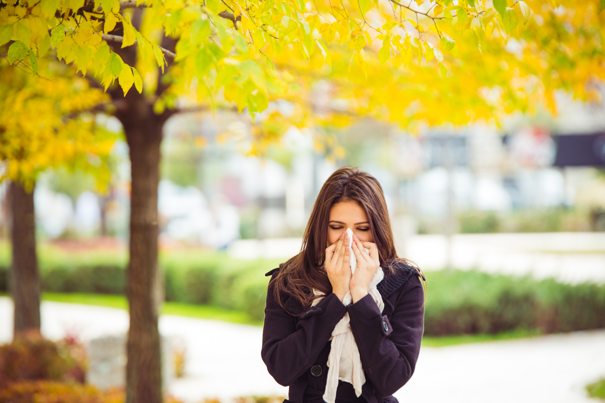 seasonal allergies medimap