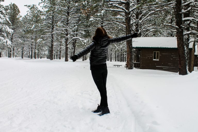 snow, forest, girl-2145473.jpg