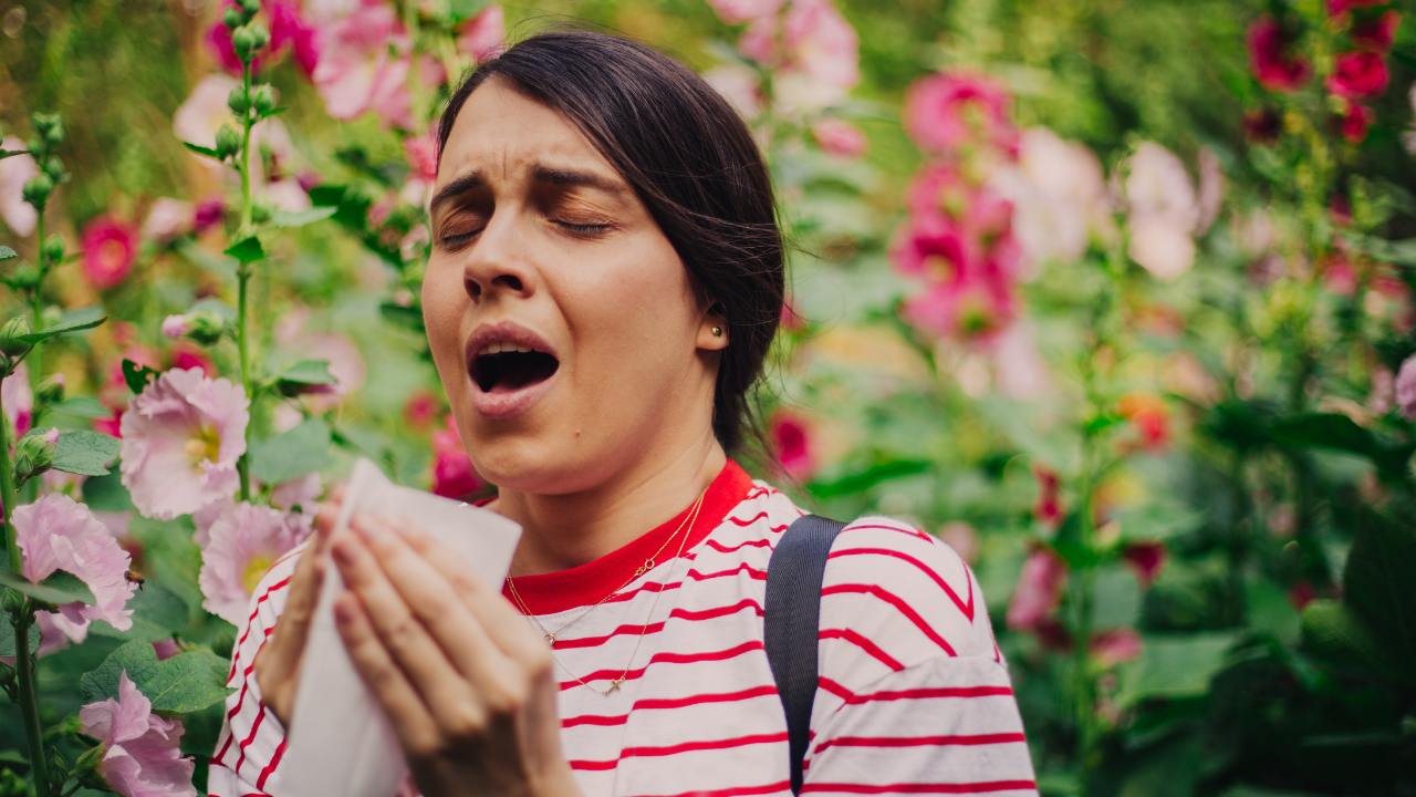 Spring Allergies